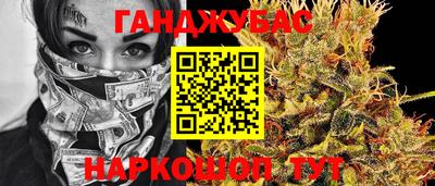 МДПВ Бердск