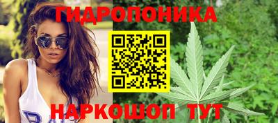 метадон Боровичи