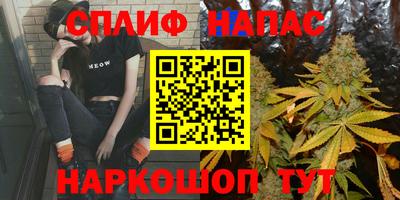 МДПВ Бердск