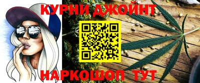 МДПВ Бердск