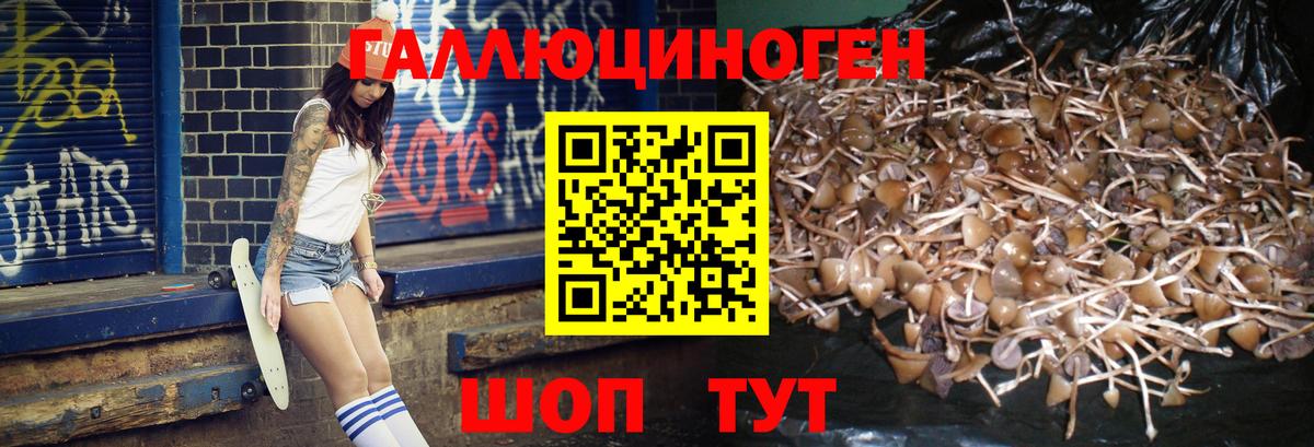 Галлюциногенные грибы Cubensis Краснокаменск